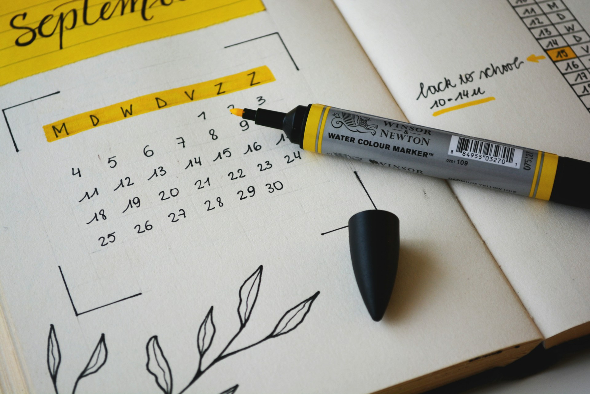 How to Read the Entire Bible in a Year